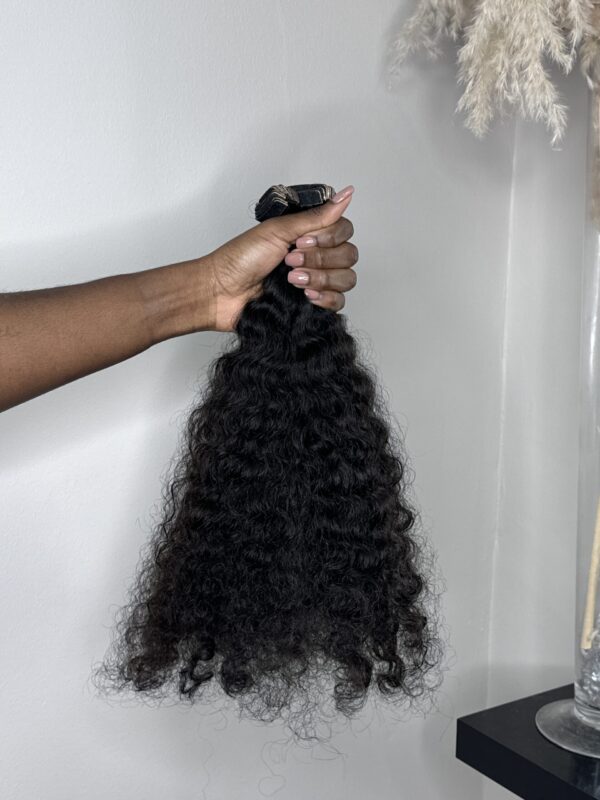 Burmese Curly - Image 2